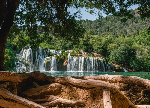 NP 'Krka' i Šibenske šape treću godinu zajedno: Za svako novo udomljavanje slobodan ulaz