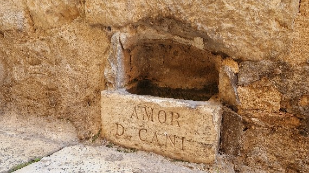 'Amor di cani' – šibenska pojilica koja stoljećima svjedoči o ljubavi prema psima