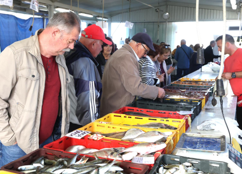 Ni ovog petka nije podbacila ponuda na šibenskoj peškariji