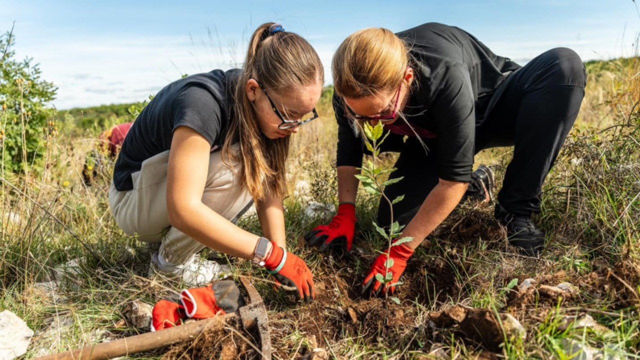 Velika akcija pošumljavanja kod Šibenika: Stotine sadnica posađeno u Lozovcu