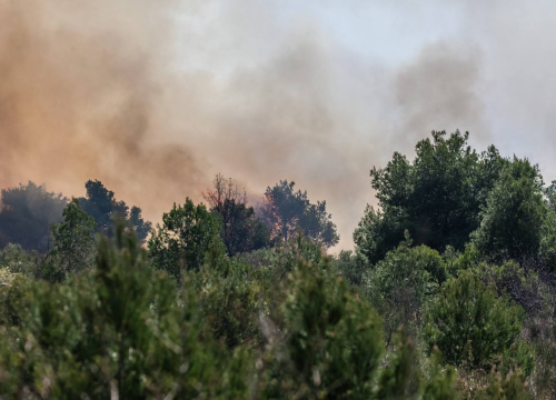 Vatrogasci u županiji danas gasili tri požara, gorjelo kod Žitnića, Dvornice i Vodica