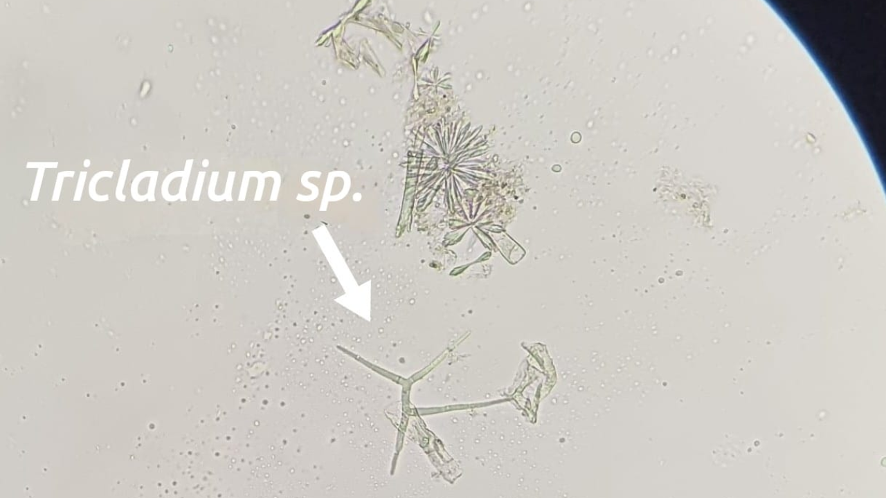 Nova otkrića u NP 'Krka': Mladi volonteri otkrili niz novih vrsta koje svjedoče o iznimnoj bioraznolikosti