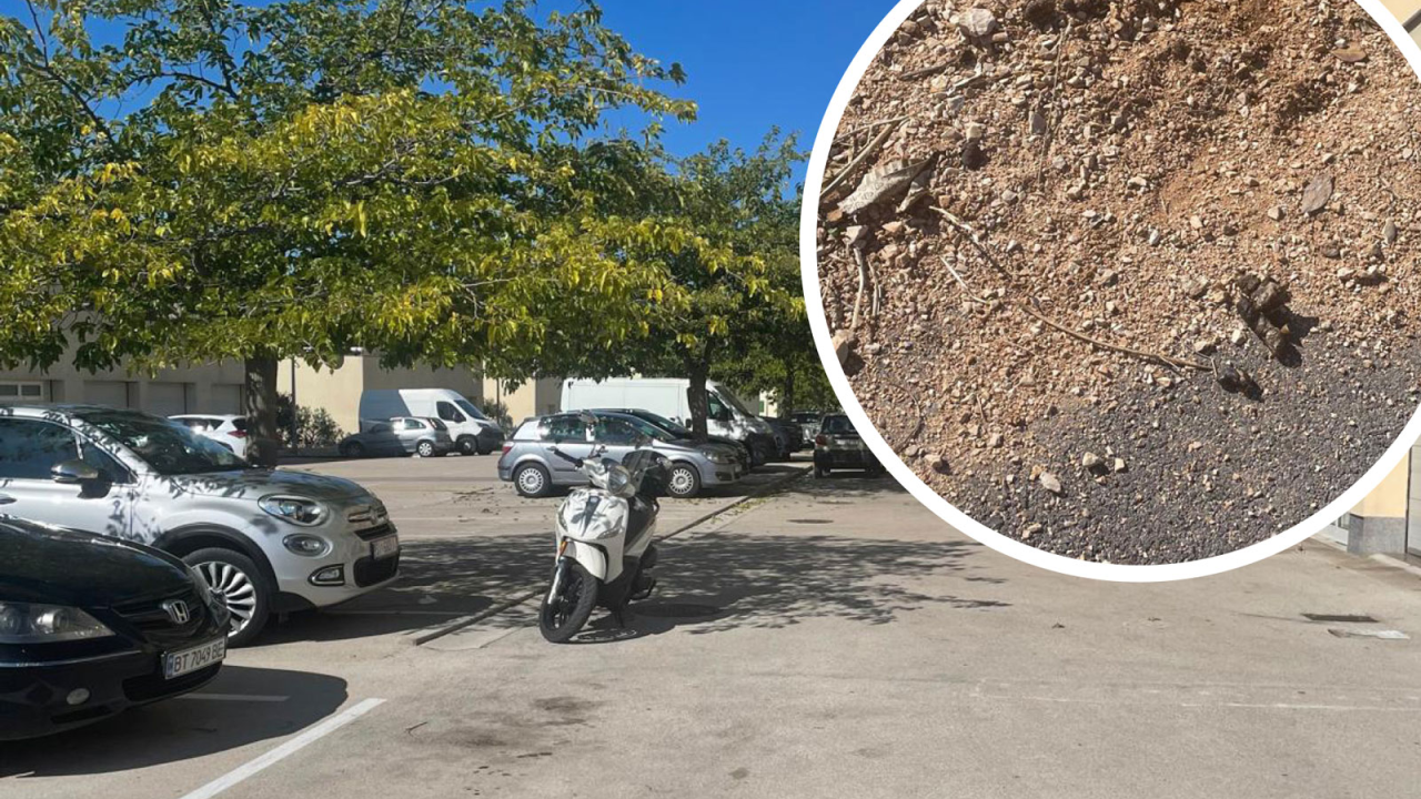 Stanari Jamnjaka ogorčeni: 'Naša ulica pretvorena je u pseći toalet'