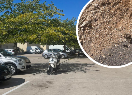 Stanari Jamnjaka ogorčeni: 'Naša ulica pretvorena je u pseći toalet'