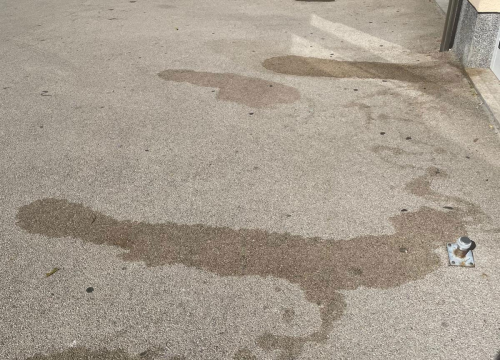 Fotografija 2 - Stanari Jamnjaka ogorčeni: 'Naša ulica pretvorena je u pseći toalet'