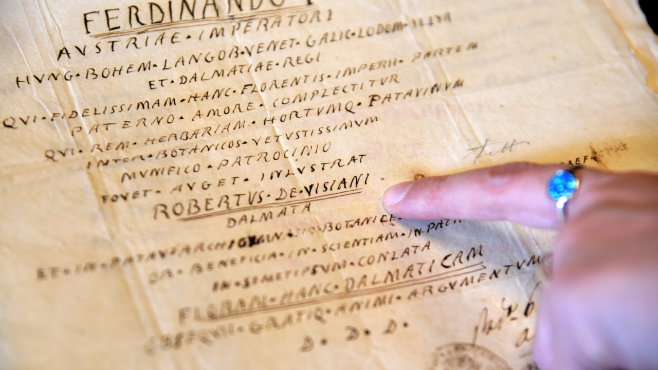 Svečano otvorenje izložbe 'Razvezujući Visianijev fjok' Željka Krnčevića