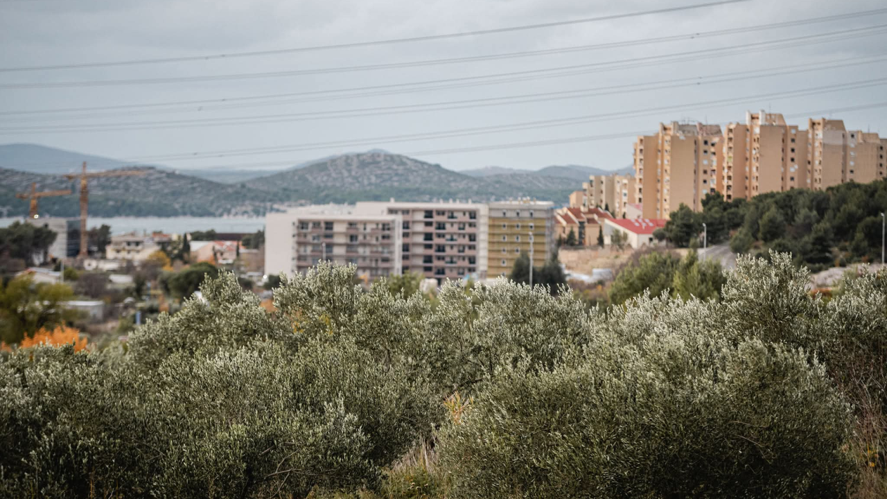Sunčani vikend uz umjerenu naoblaku, idealno za branje maslina