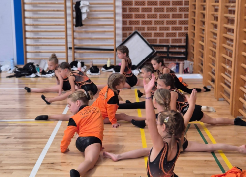 Fotografija 7 - FOTO Gimnastičari Dišpeta ugostili zadnje kolo regije Jug: Spremni za prvenstva države i Balkana