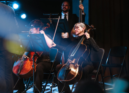 Dubrovački simfonijski orkestar nastupio u Kući umjetnosti Arsen