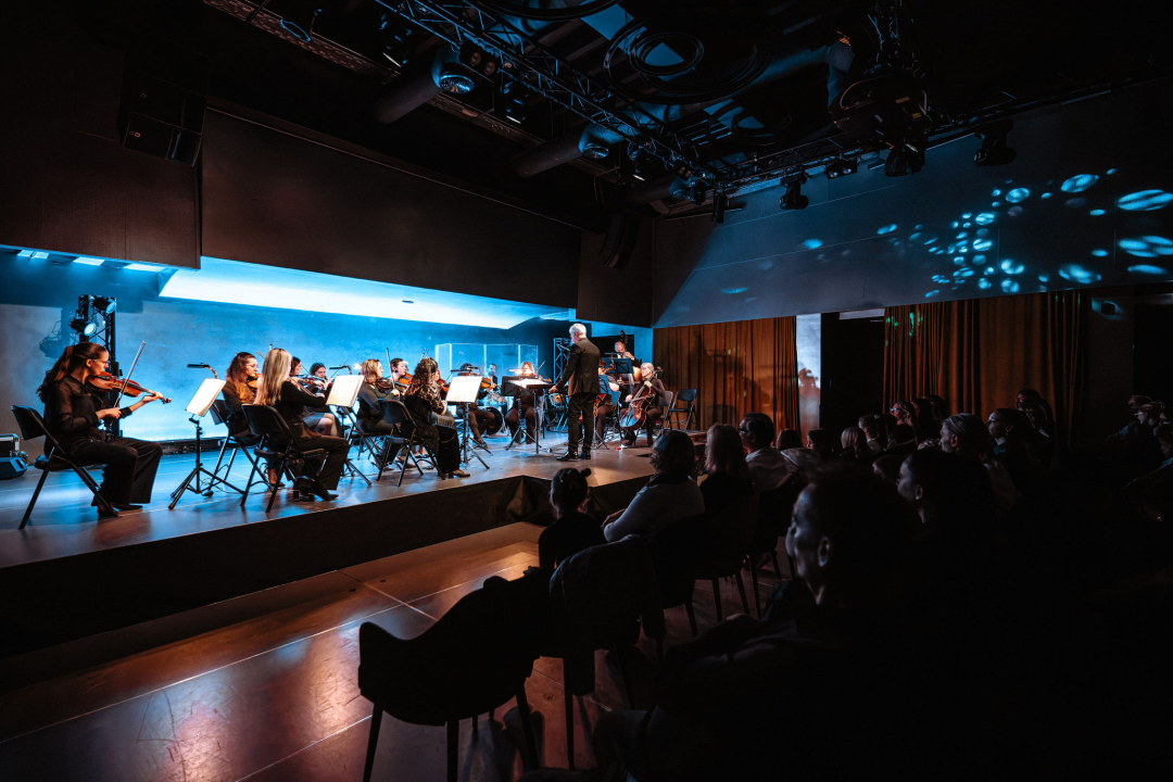 Dubrovački simfonijski orkestar u Šibeniku