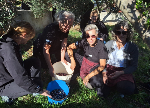 Vodice ponosne na svoje gerontodomaćice: 'One su oslonac našim sugrađanima'